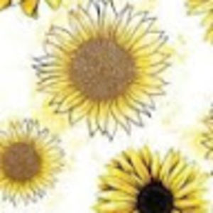 Meet your Posher, Ella